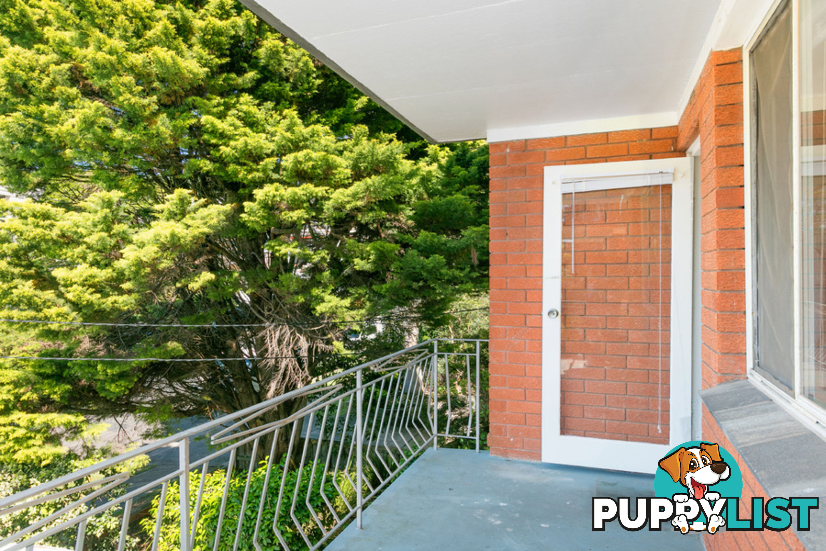 3/17 Redman Road DEE WHY NSW 2099