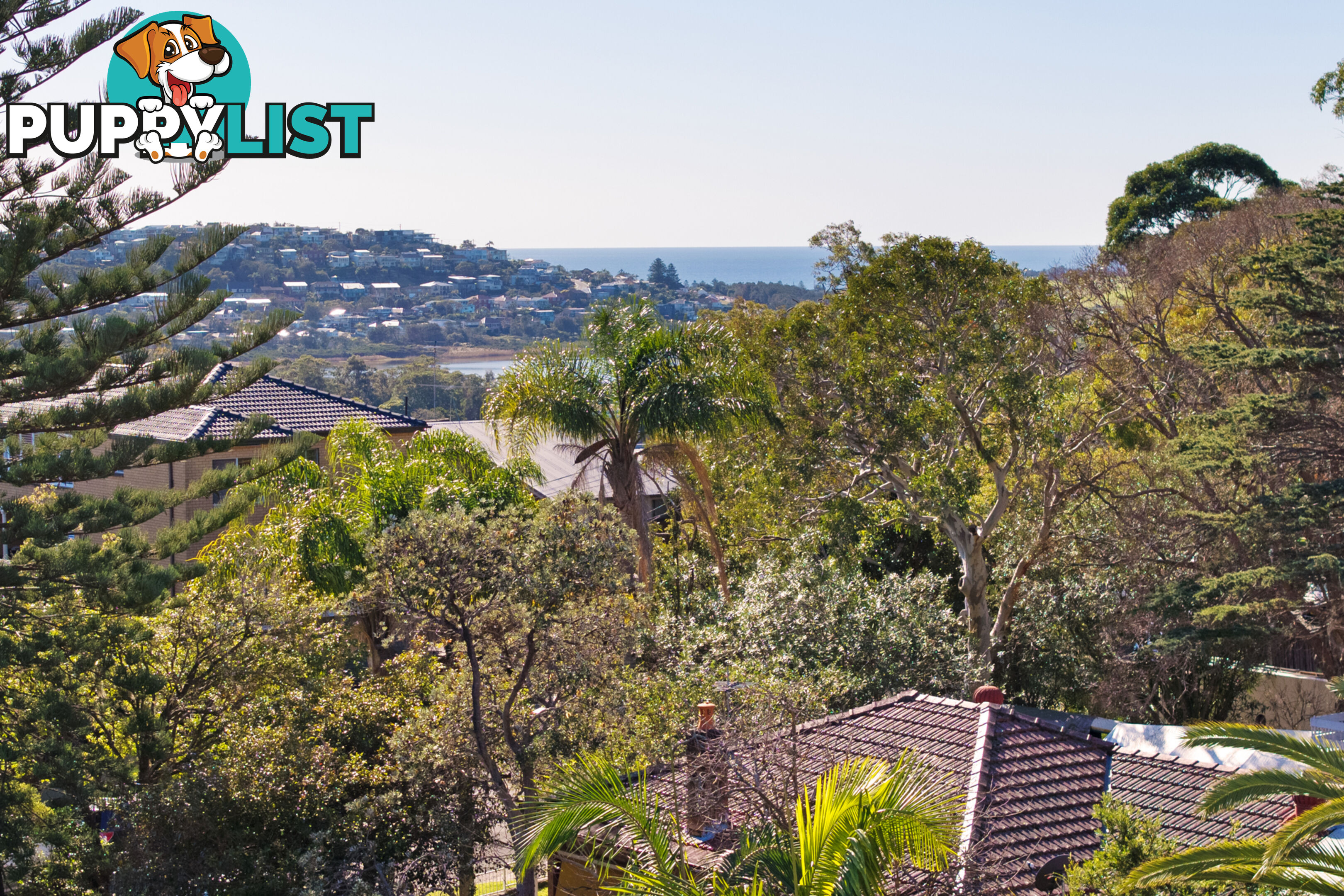 76 Delmar Parade DEE WHY NSW 2099