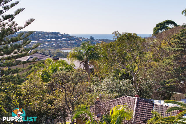 76 Delmar Parade DEE WHY NSW 2099