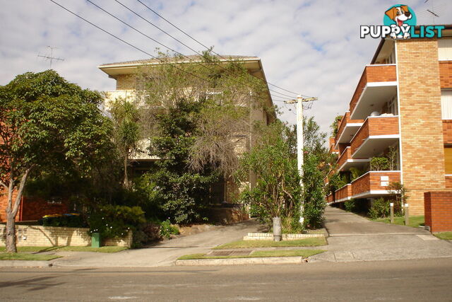 12/87 Pacific Parade DEE WHY NSW 2099