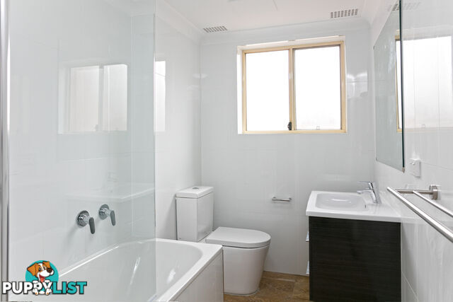 6/11 Lovett Street MANLY VALE NSW 2093