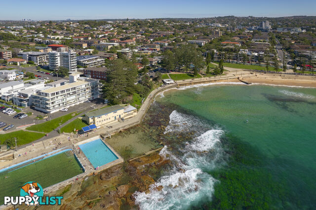 15/107 Pacific Parade DEE WHY NSW 2099