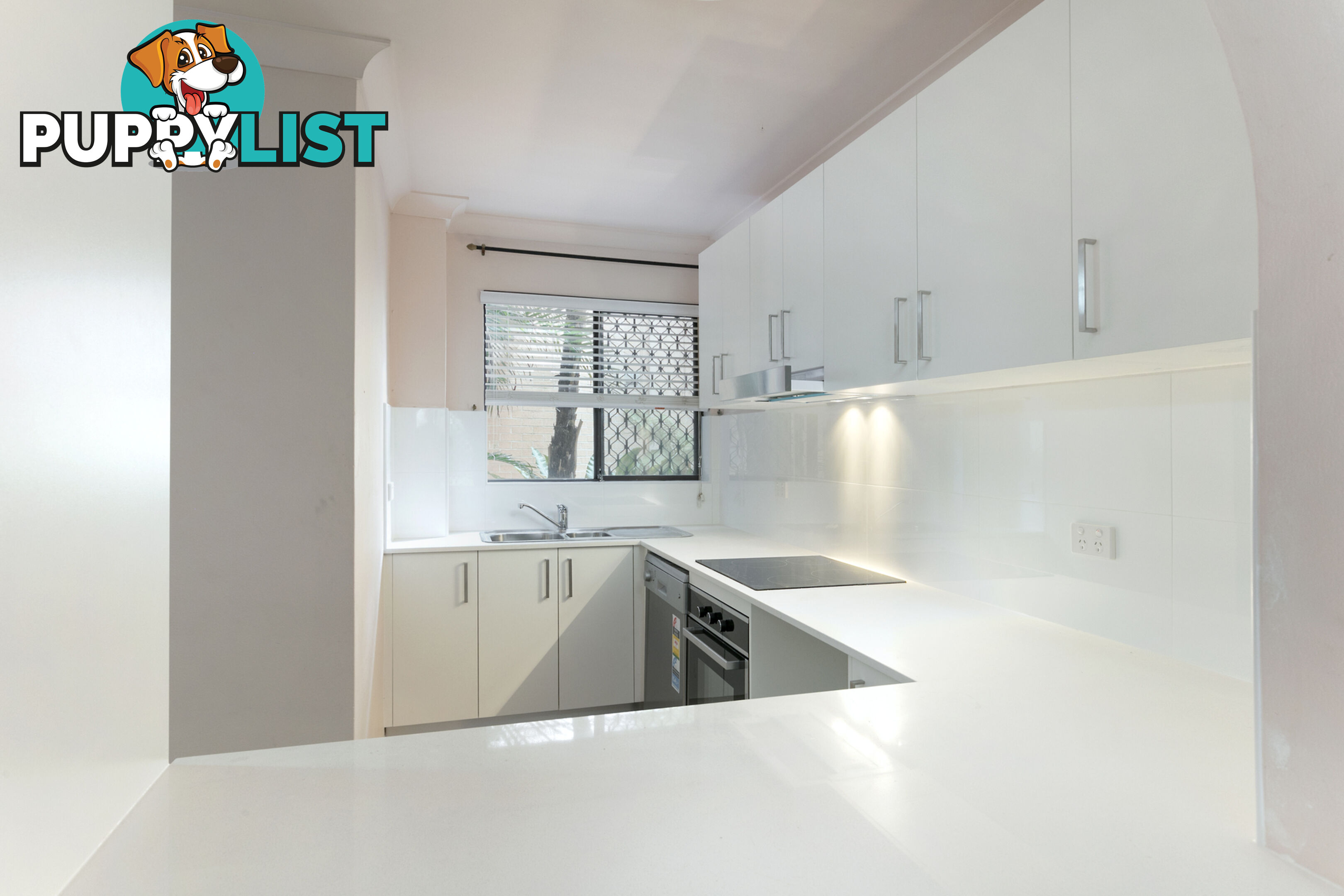 3/74-78 Howard Avenue DEE WHY NSW 2099