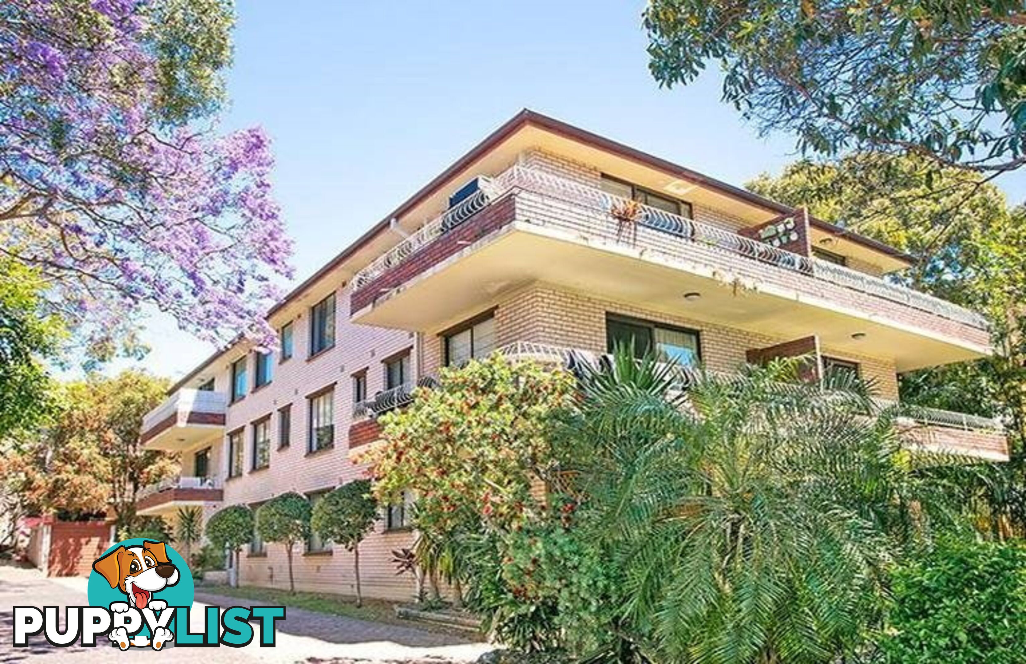 8/95 Pacific Parade DEE WHY NSW 2099