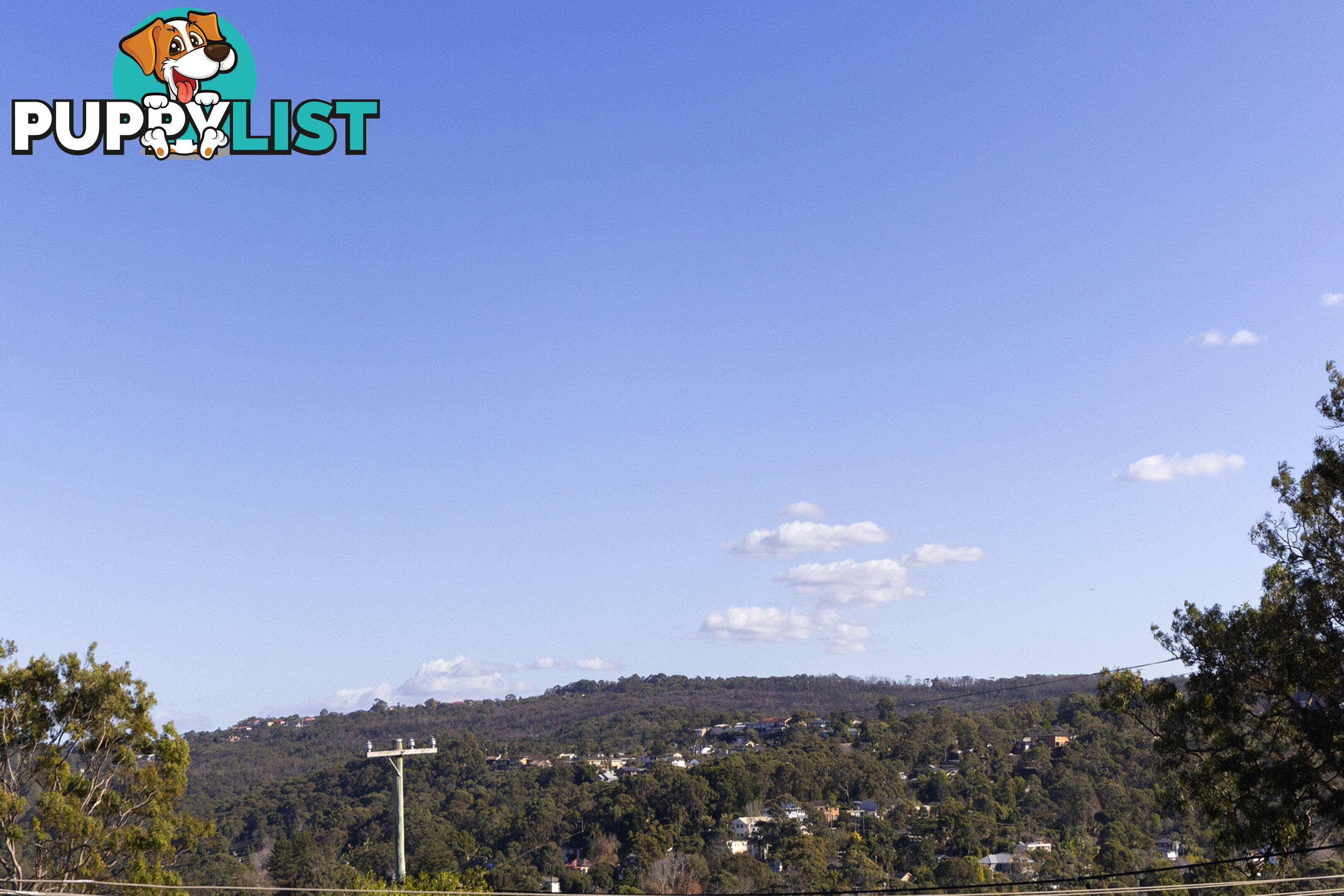 1 Rydal Place WHEELER HEIGHTS NSW 2097