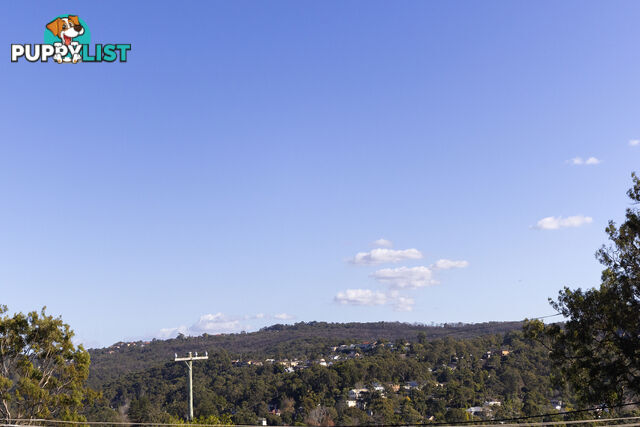 1 Rydal Place WHEELER HEIGHTS NSW 2097