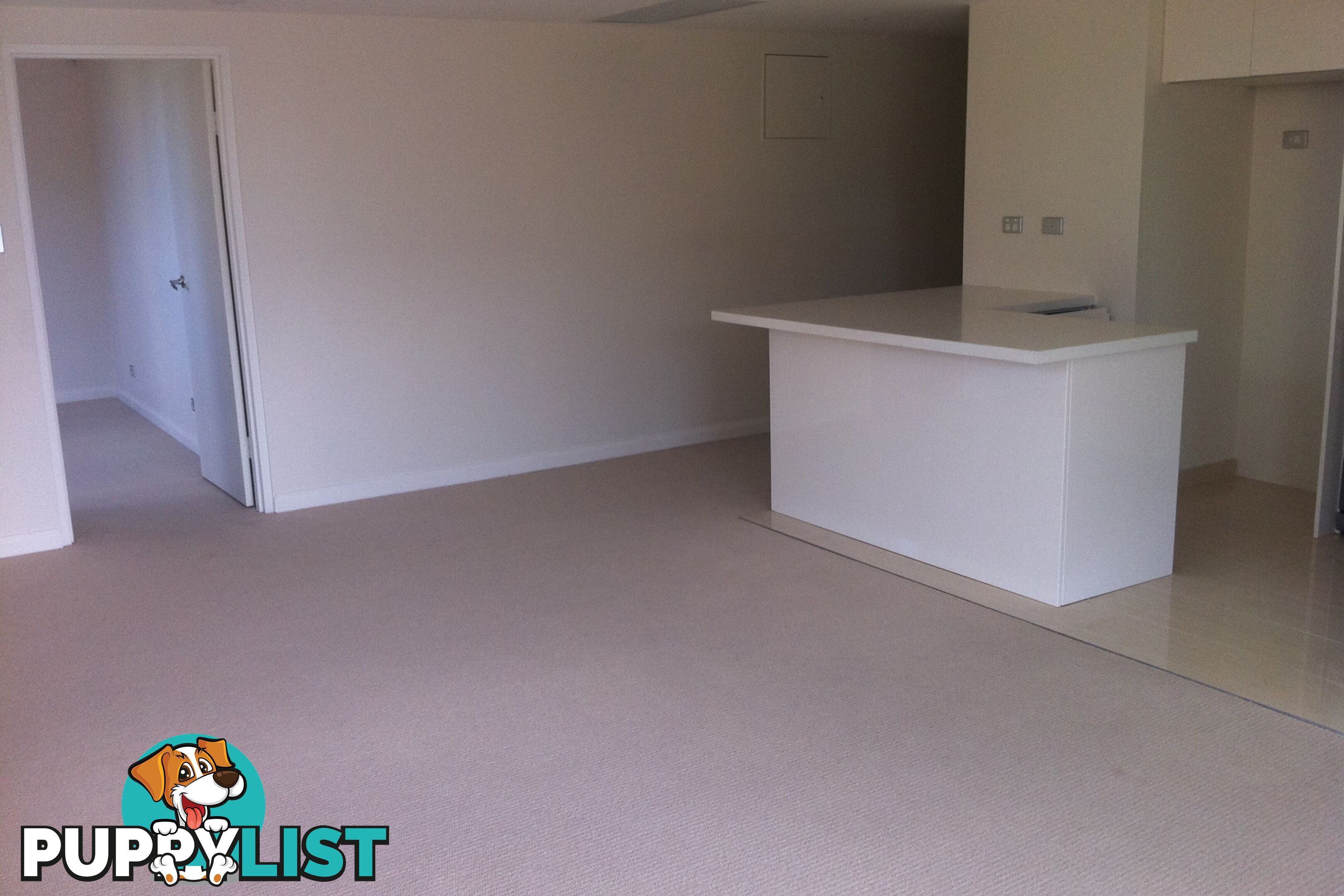 5/7 Kingsway DEE WHY NSW 2099