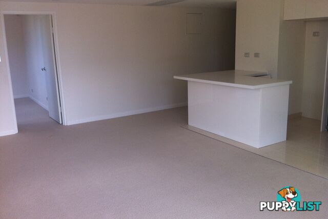 5/7 Kingsway DEE WHY NSW 2099