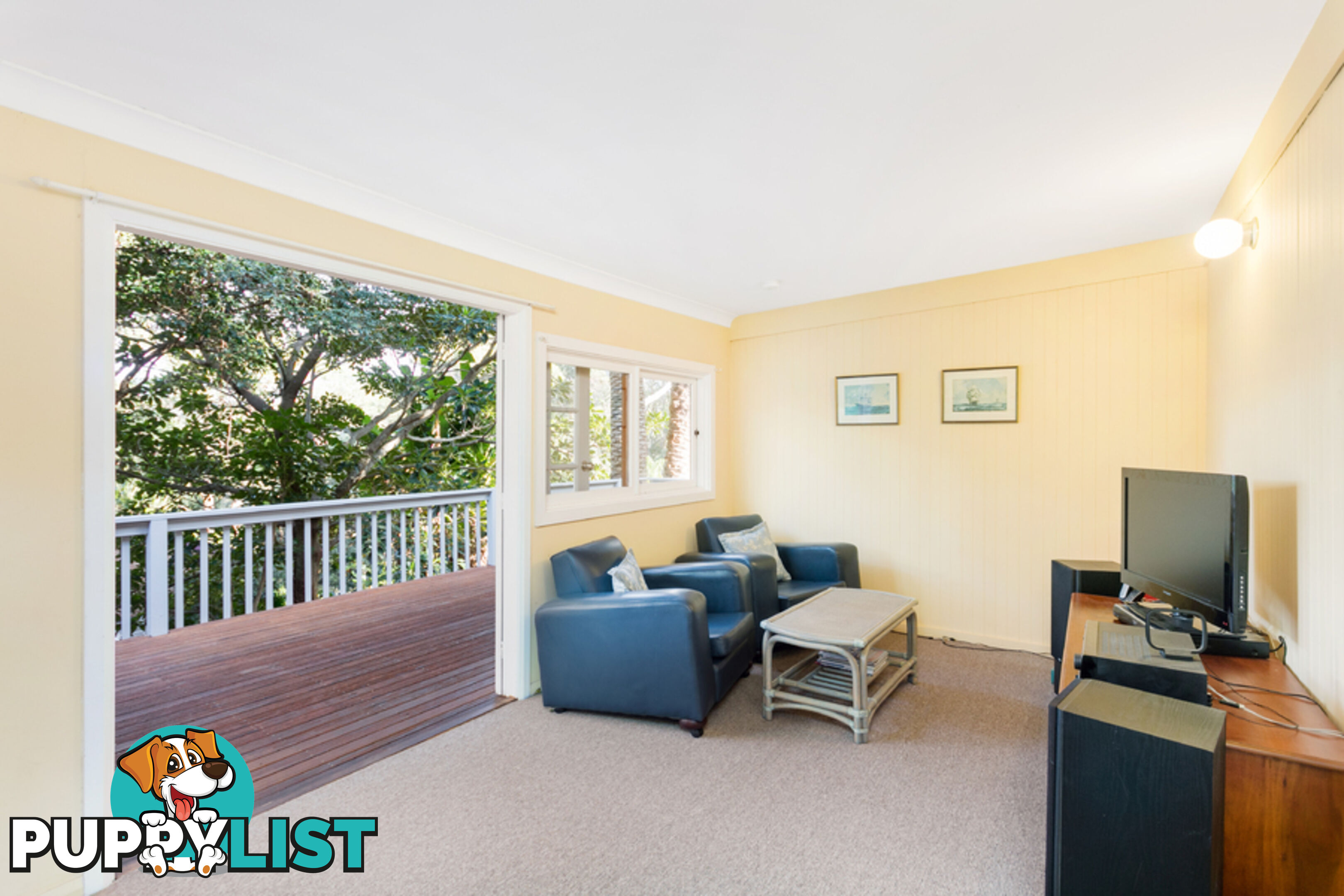 41 Park Avenue AVALON BEACH NSW 2107