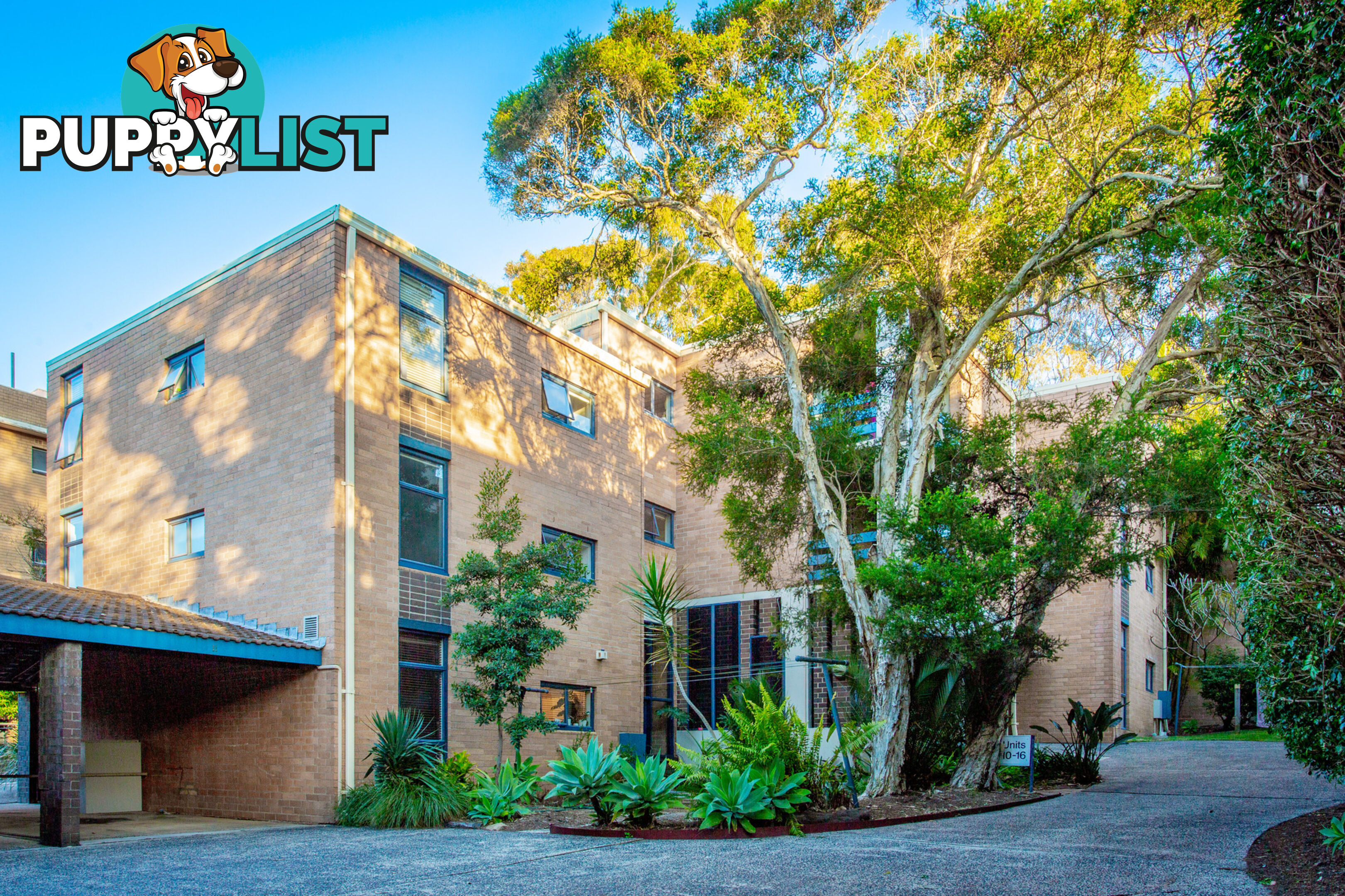 13/34 The Crescent DEE WHY NSW 2099