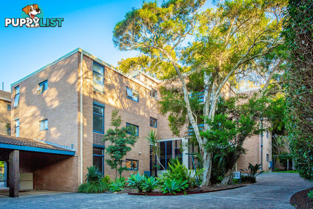 13/34 The Crescent DEE WHY NSW 2099