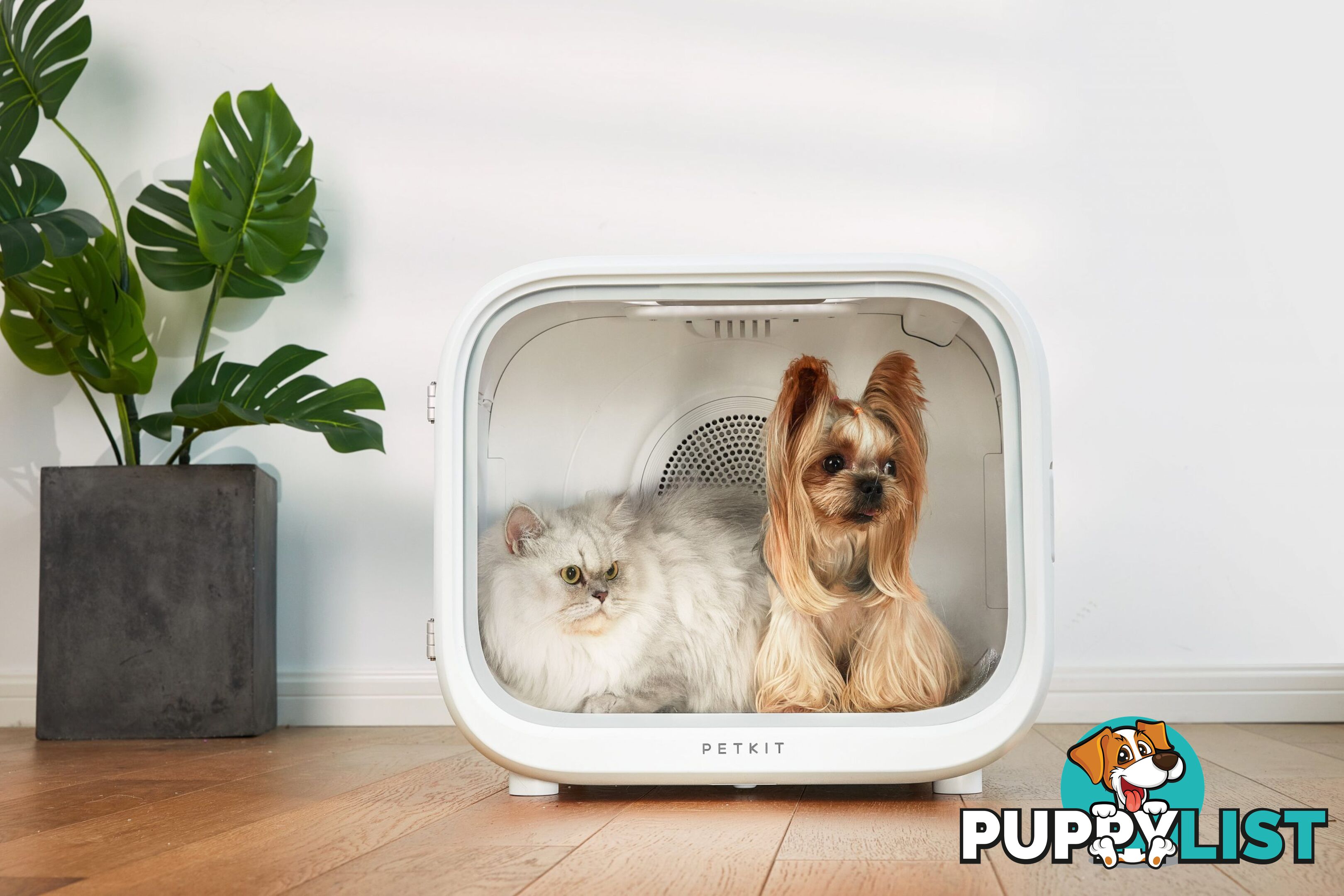 Petkit AirSalon Smart Pet Dryer Box – Comfort & Care for Your Pets