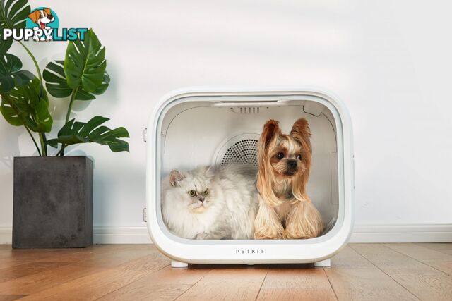 Petkit AirSalon Smart Pet Dryer Box – Comfort & Care for Your Pets