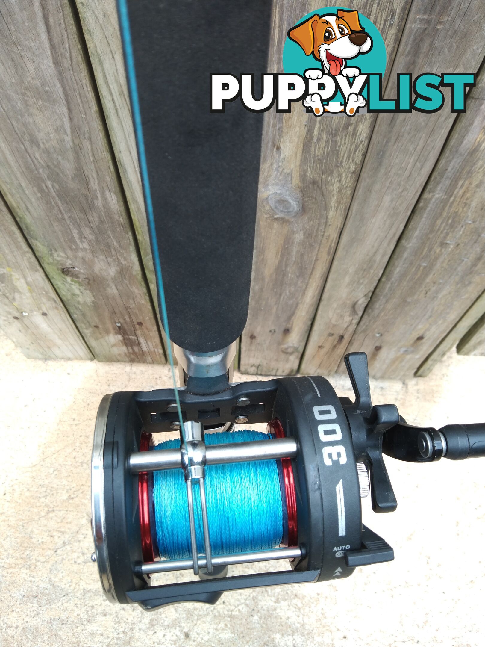 Boat fishing rods