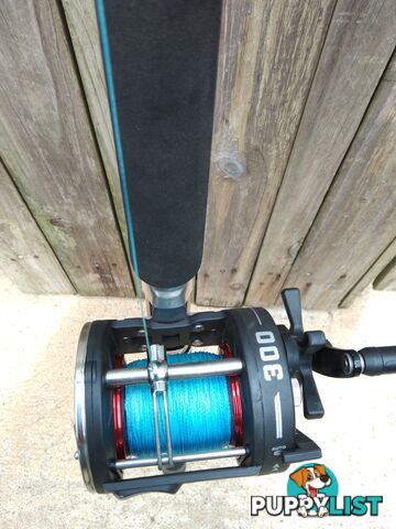 Boat fishing rods
