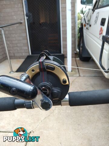 Boat fishing rods