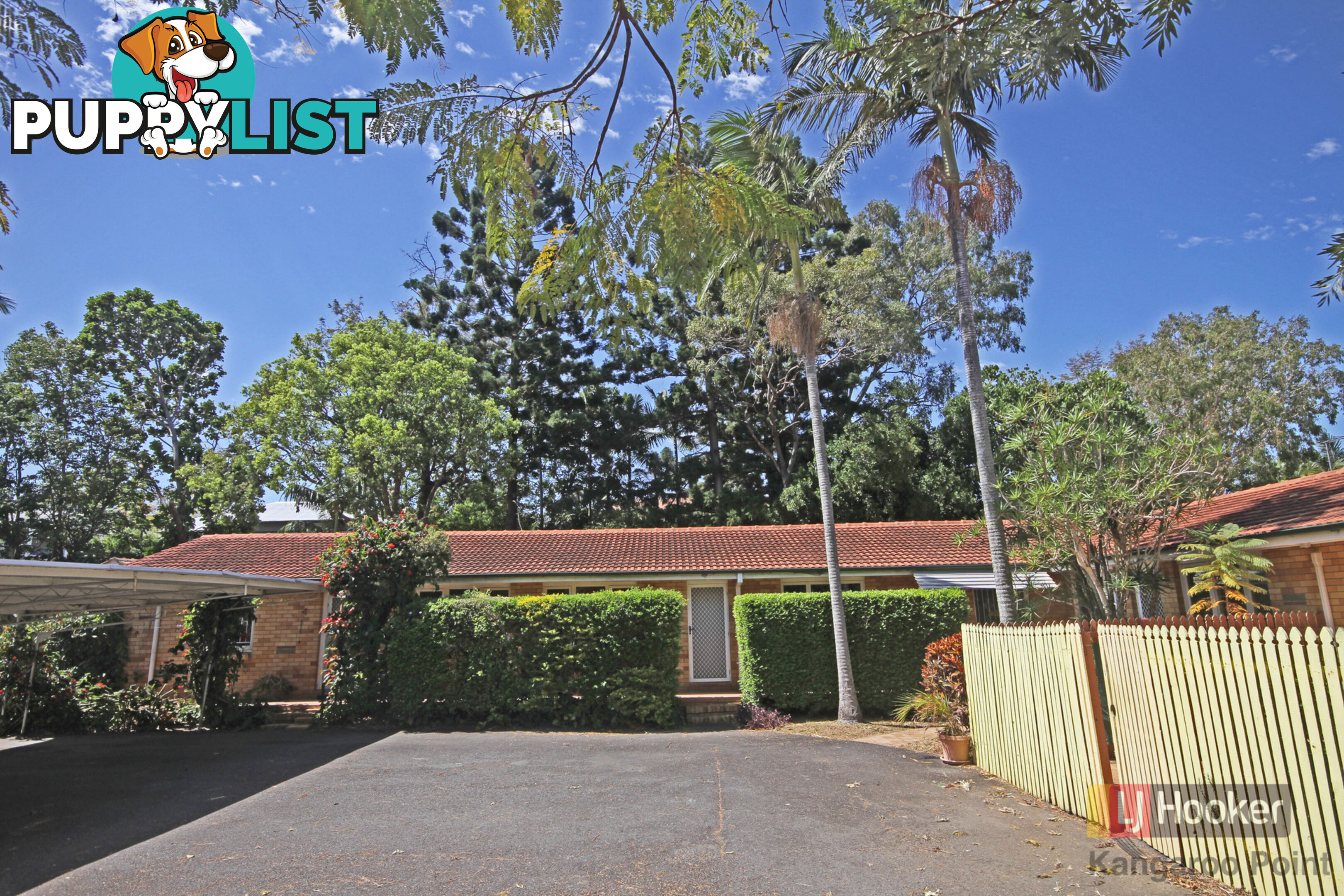 3/55 Ashfield Street EAST BRISBANE QLD 4169