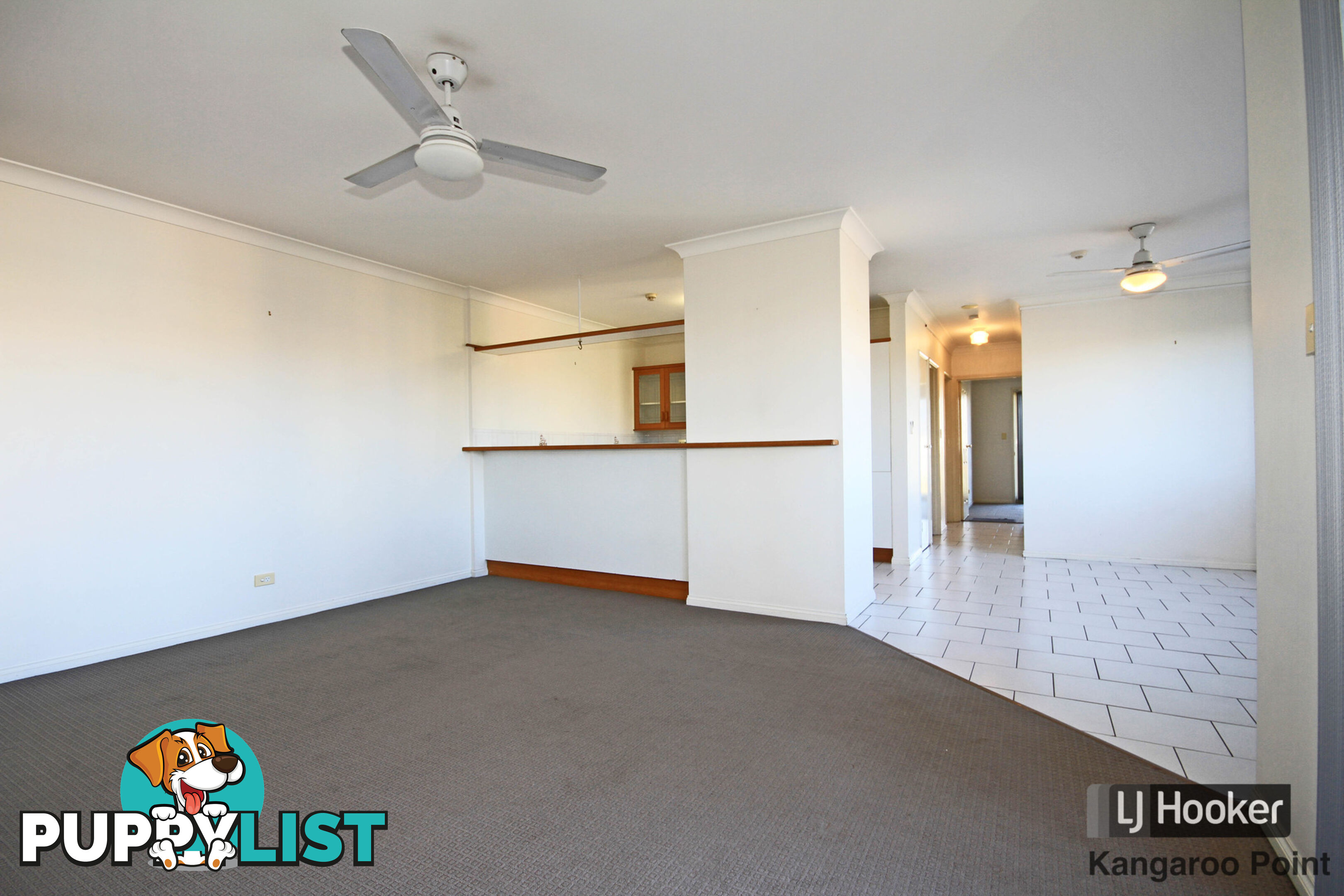 8/234 Shafston Avenue KANGAROO POINT QLD 4169