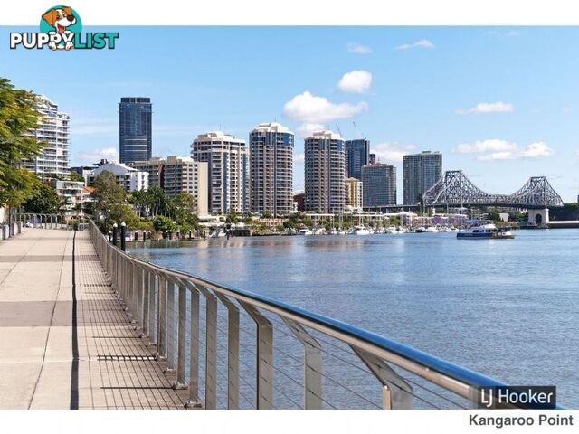 8/234 Shafston Avenue KANGAROO POINT QLD 4169