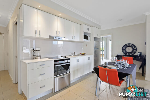 12/204 Wellington Road EAST BRISBANE QLD 4169