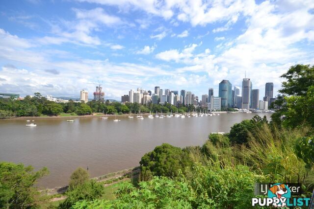 2/480 Main Street KANGAROO POINT QLD 4169