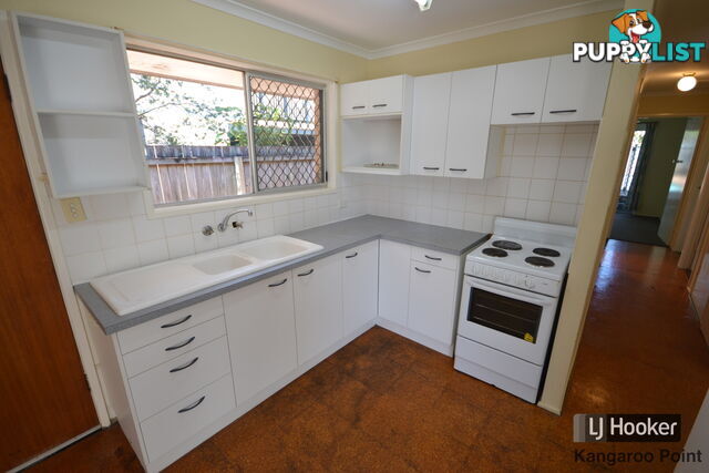 41 Macrossan Avenue NORMAN PARK QLD 4170