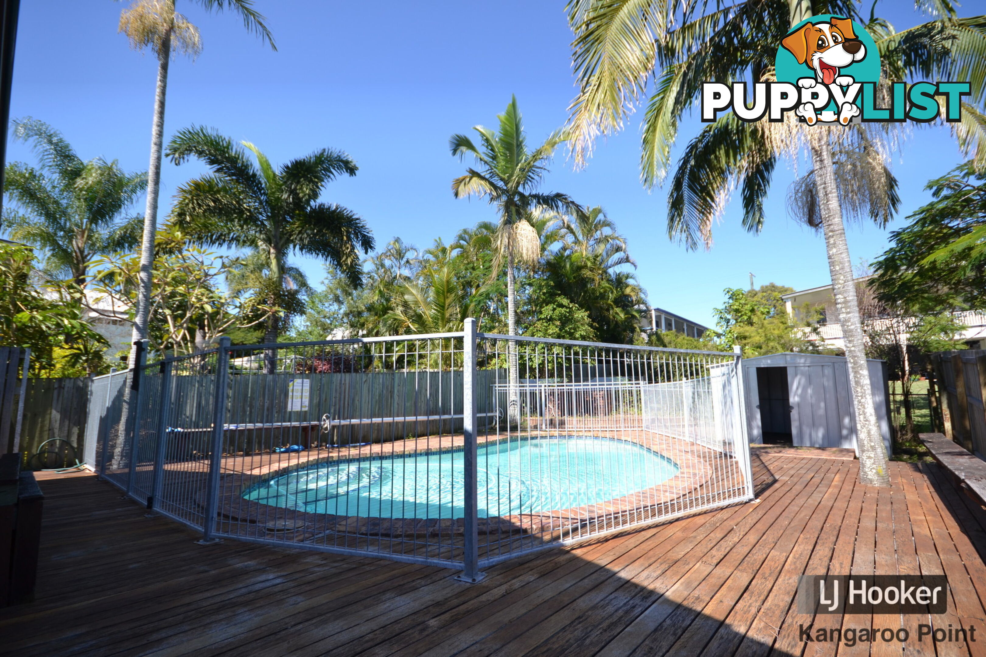 41 Macrossan Avenue NORMAN PARK QLD 4170