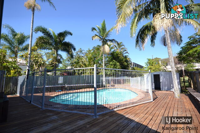 41 Macrossan Avenue NORMAN PARK QLD 4170