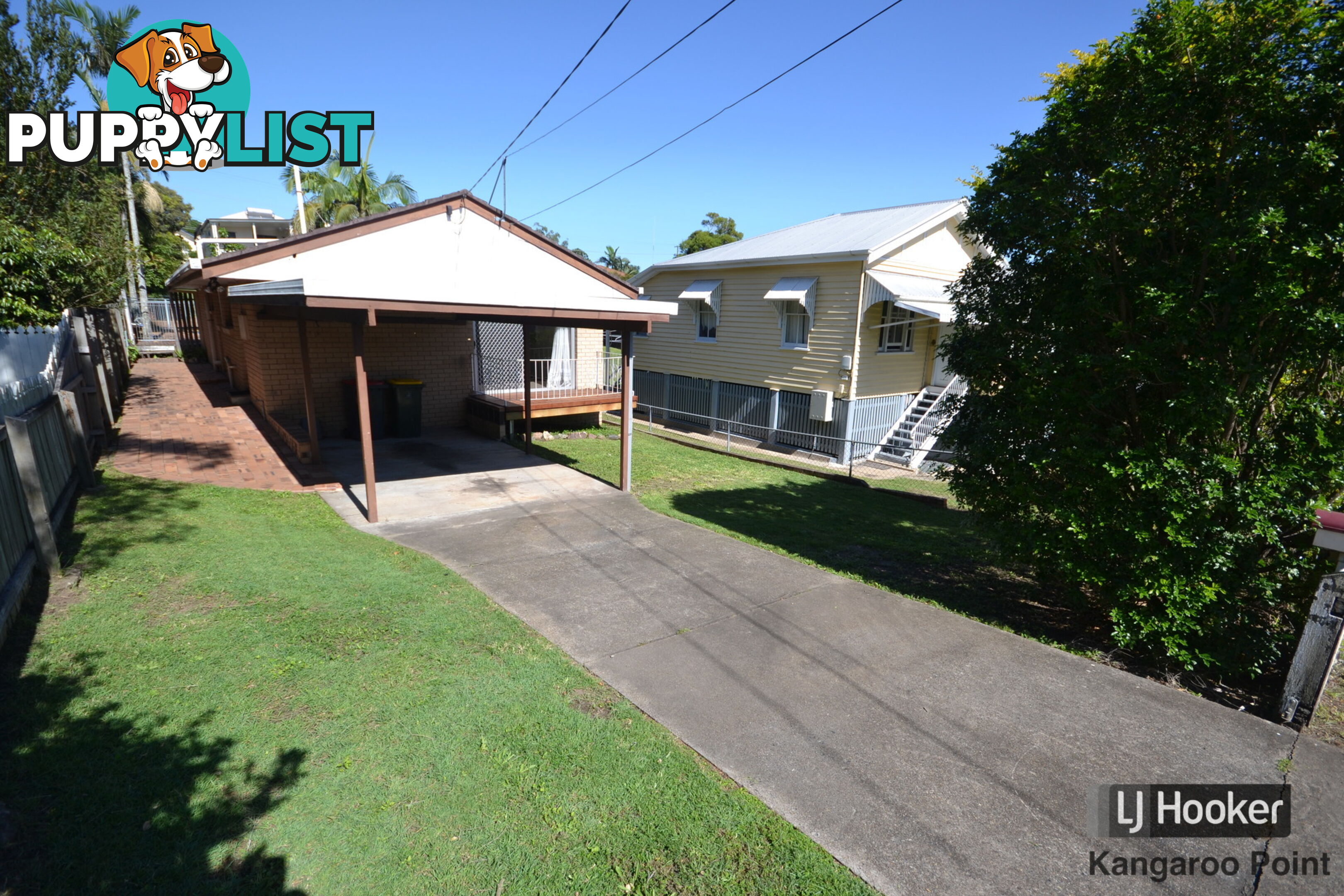 41 Macrossan Avenue NORMAN PARK QLD 4170