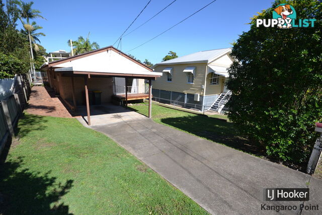 41 Macrossan Avenue NORMAN PARK QLD 4170