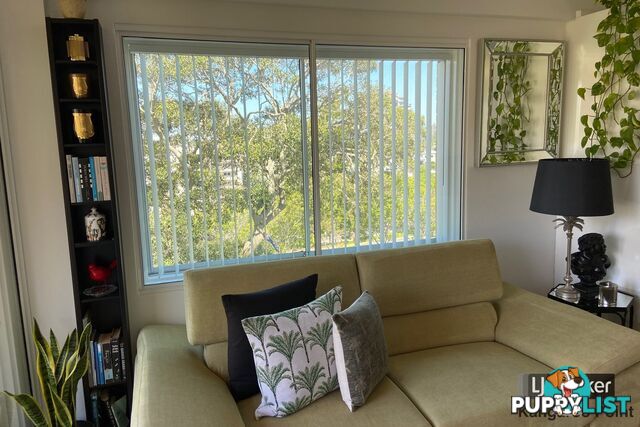 308/355 Main Street KANGAROO POINT QLD 4169