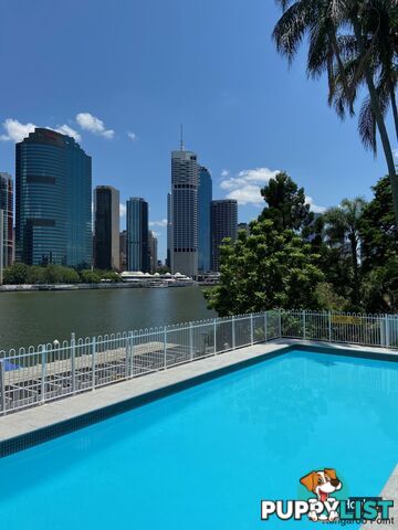 308/355 Main Street KANGAROO POINT QLD 4169