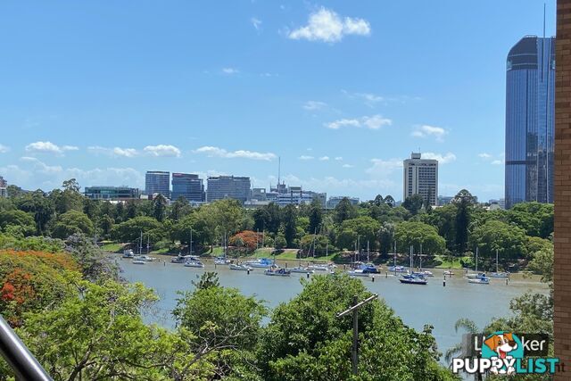 308/355 Main Street KANGAROO POINT QLD 4169