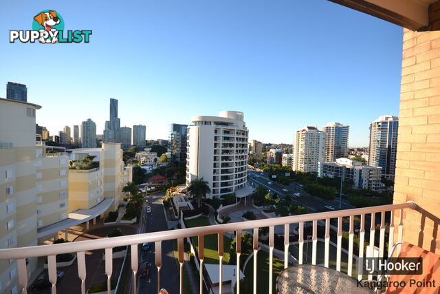 801/355 Main Street KANGAROO POINT QLD 4169