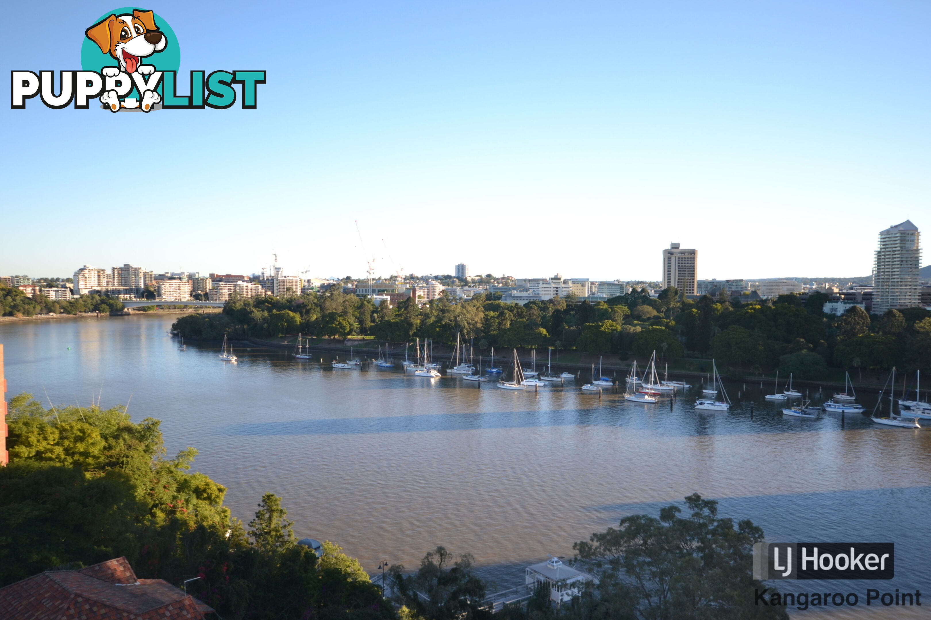 801/355 Main Street KANGAROO POINT QLD 4169