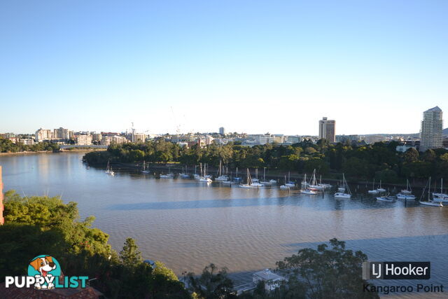 801/355 Main Street KANGAROO POINT QLD 4169