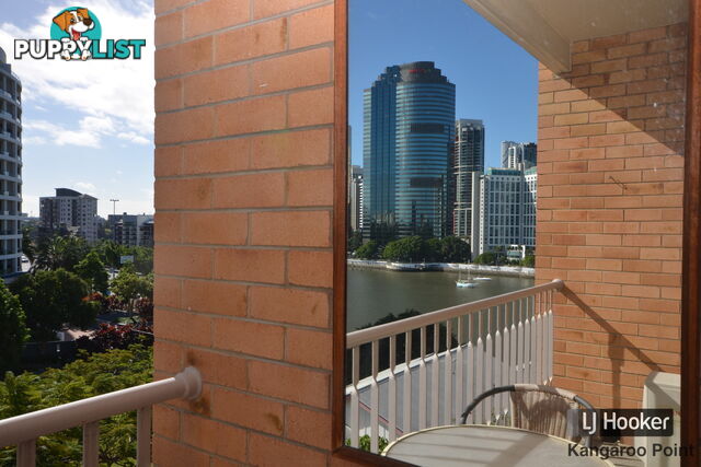 302/355 Main Street KANGAROO POINT QLD 4169