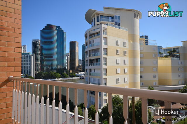 302/355 Main Street KANGAROO POINT QLD 4169