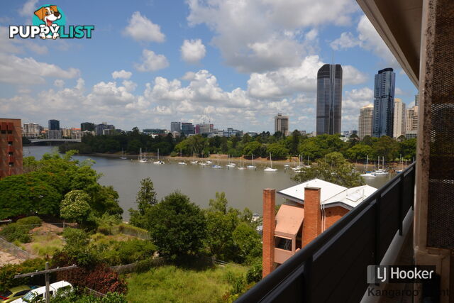 402/355 Main Street KANGAROO POINT QLD 4169