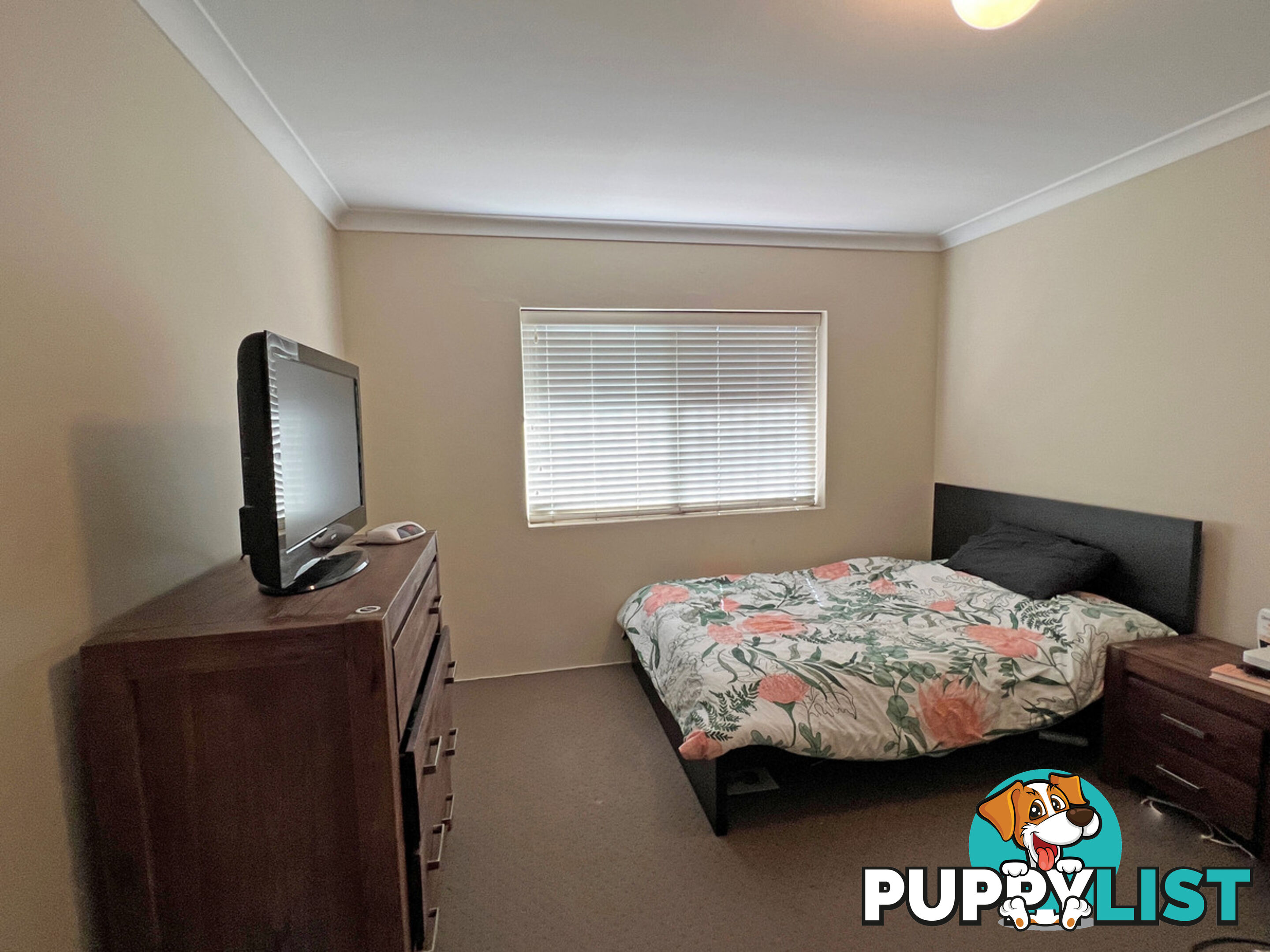 3/69 Geelong Street EAST BRISBANE QLD 4169