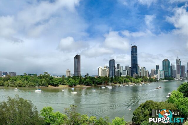 33/492 Main Street KANGAROO POINT QLD 4169