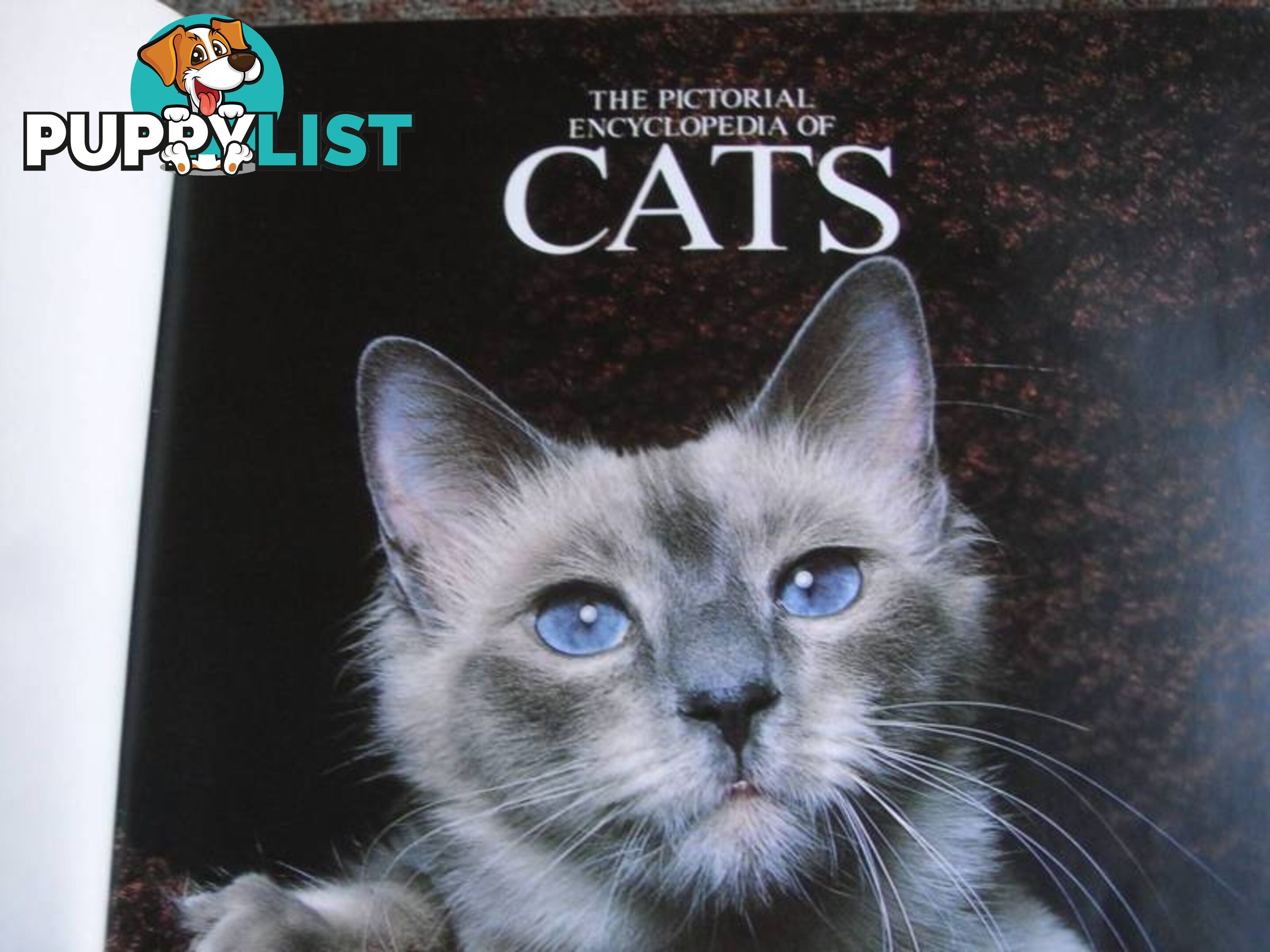 PICTORAL ENCYCLOPEDIA OF CATS PICKUP OR POSTAGE