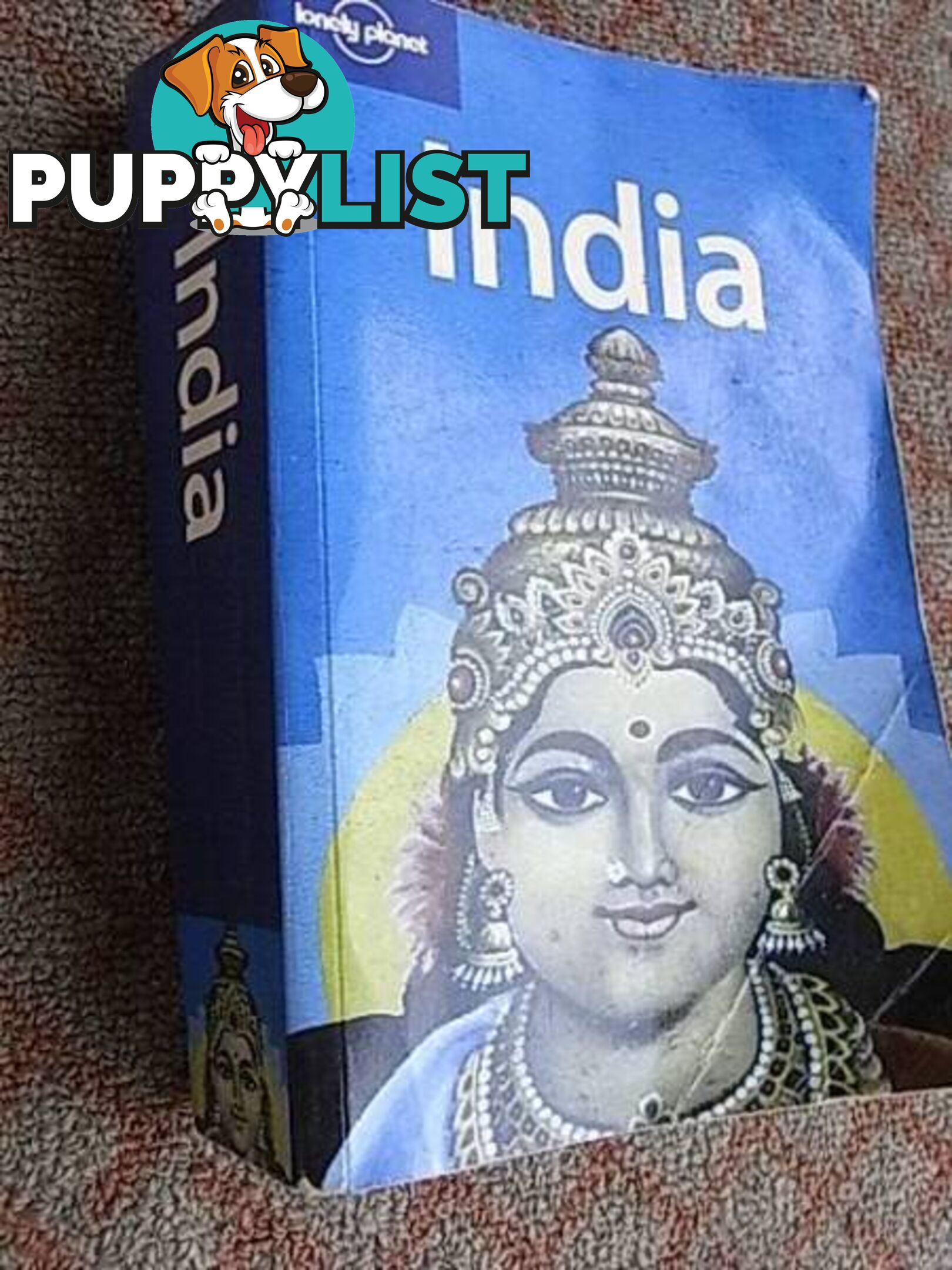 LONELY PLANET INDIA THICK EDITION