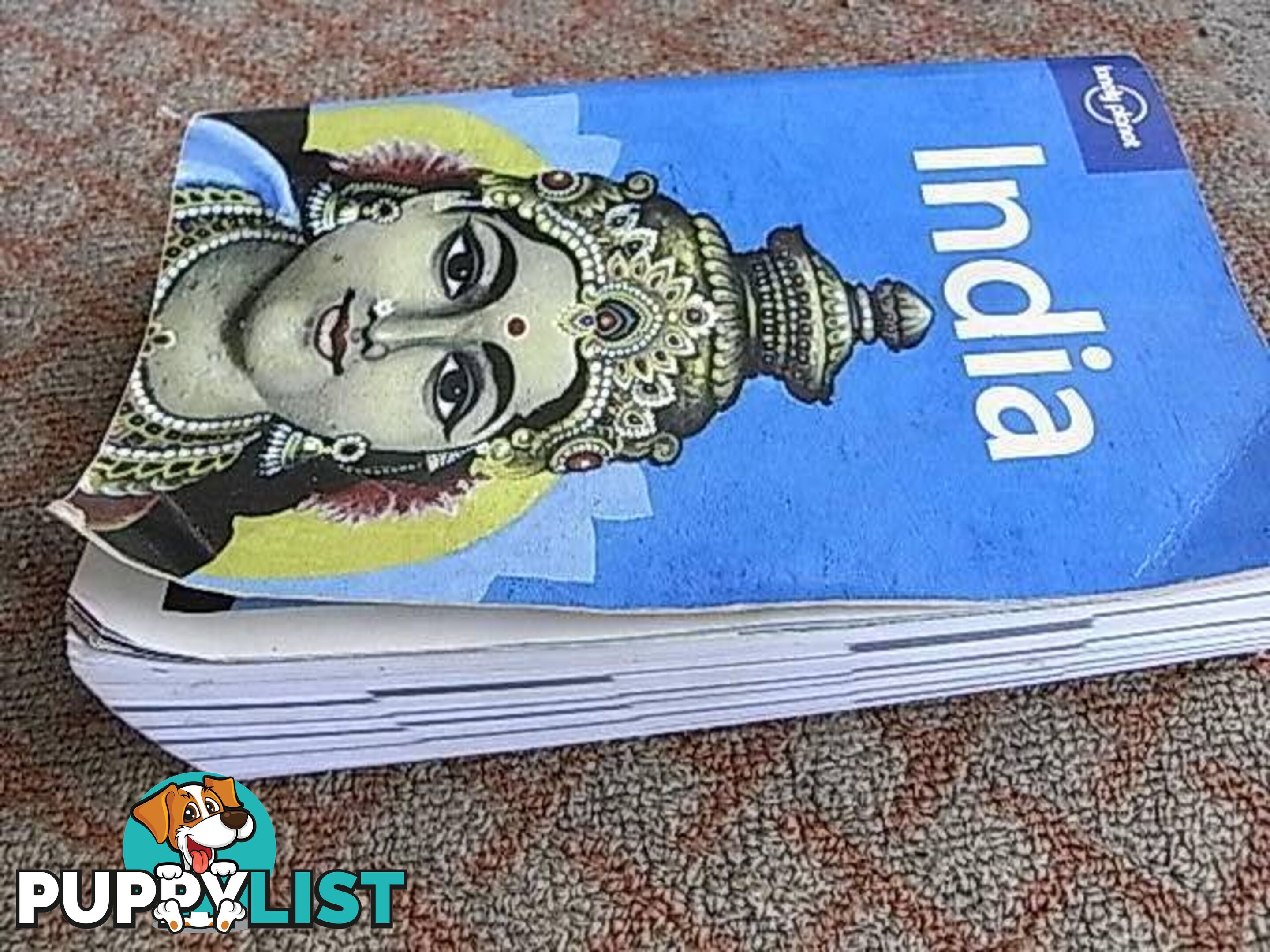 LONELY PLANET INDIA THICK EDITION