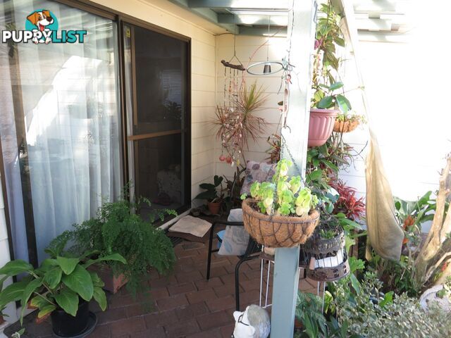 2/27 Arthur Street SOUTH WEST ROCKS NSW 2431