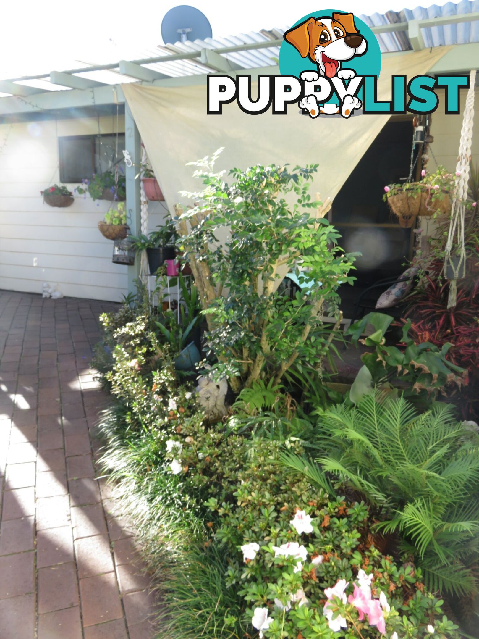 2/27 Arthur Street SOUTH WEST ROCKS NSW 2431