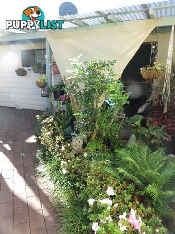 2/27 Arthur Street SOUTH WEST ROCKS NSW 2431