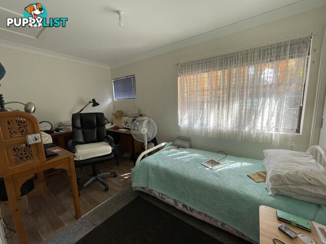 Unit 1 and 2/72 Phillip Drive SOUTH WEST ROCKS NSW 2431