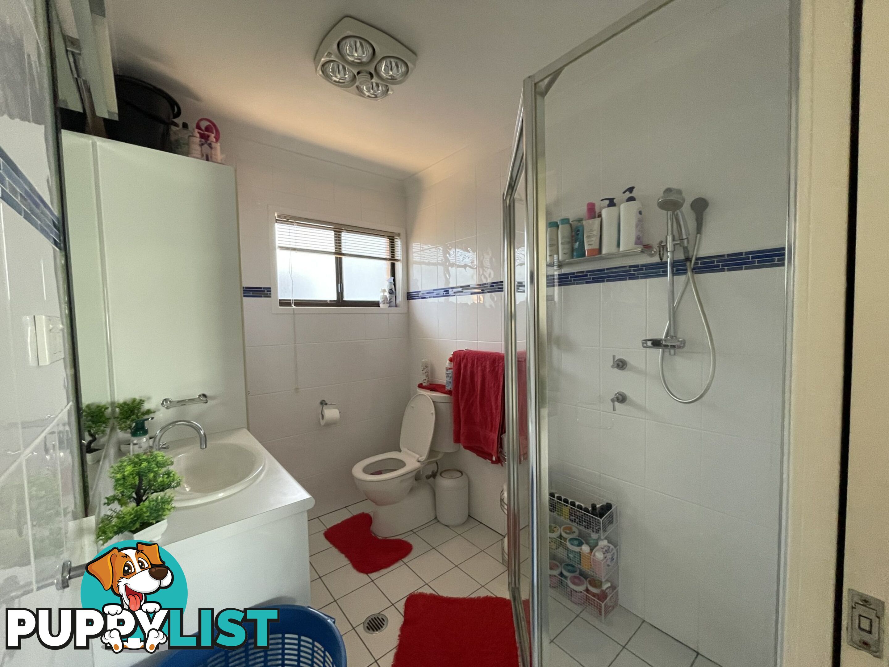 Unit 1 and 2/72 Phillip Drive SOUTH WEST ROCKS NSW 2431