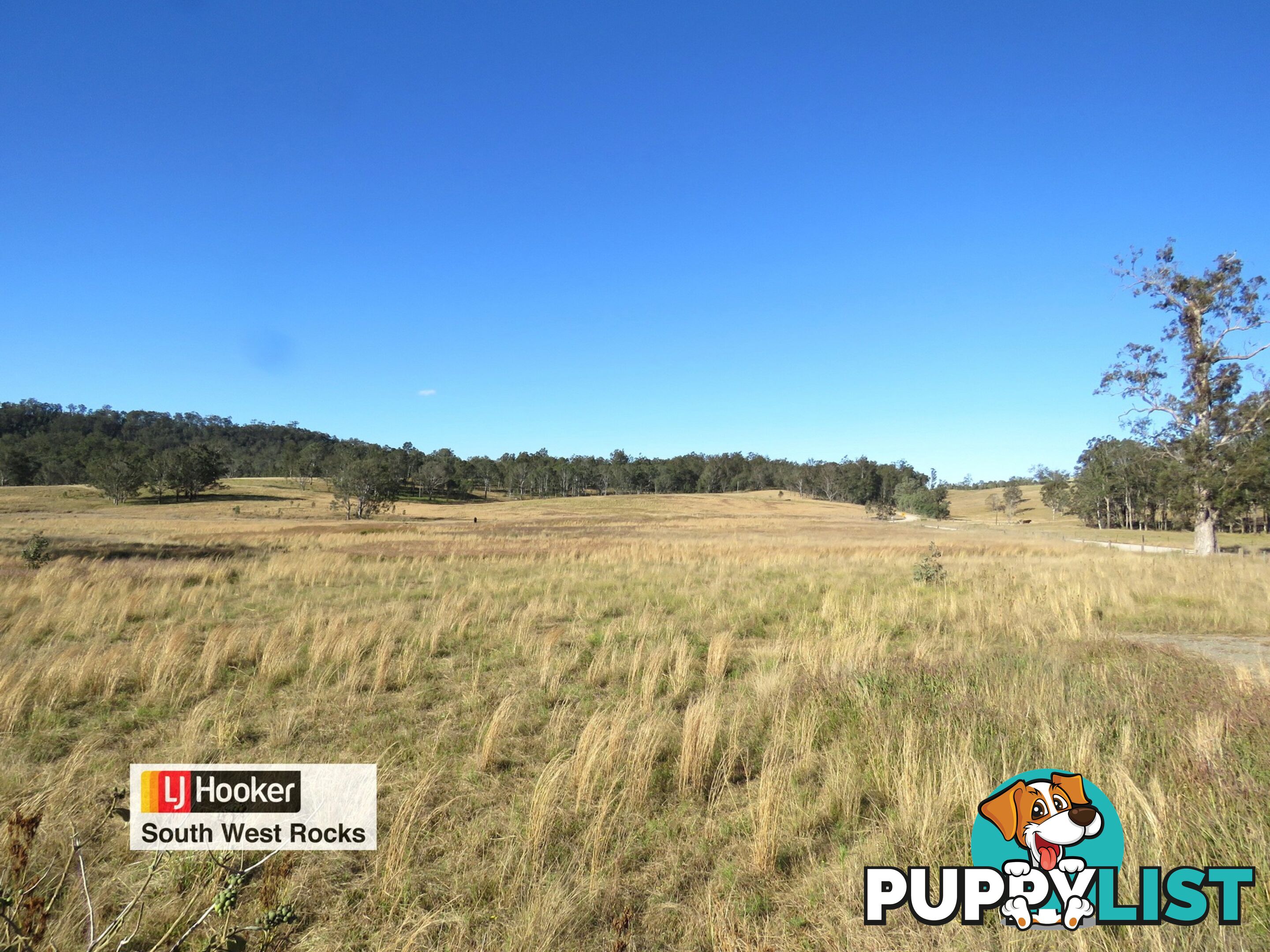 Lot 4 Willi Willi Road MOPARRABAH NSW 2440